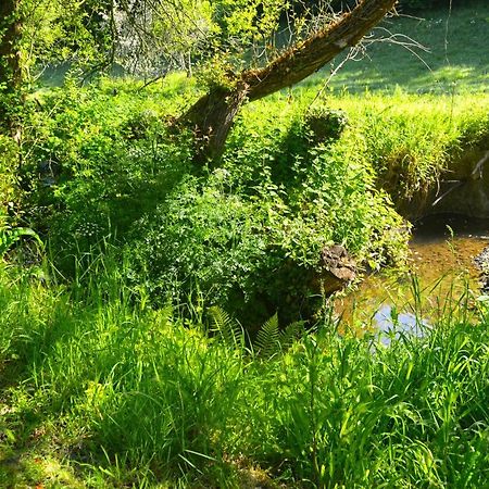 Le Domaine Du Pont Canon Plourivo Eksteriør billede