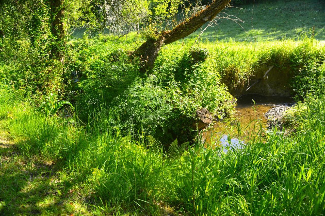 Le Domaine Du Pont Canon Plourivo Eksteriør billede